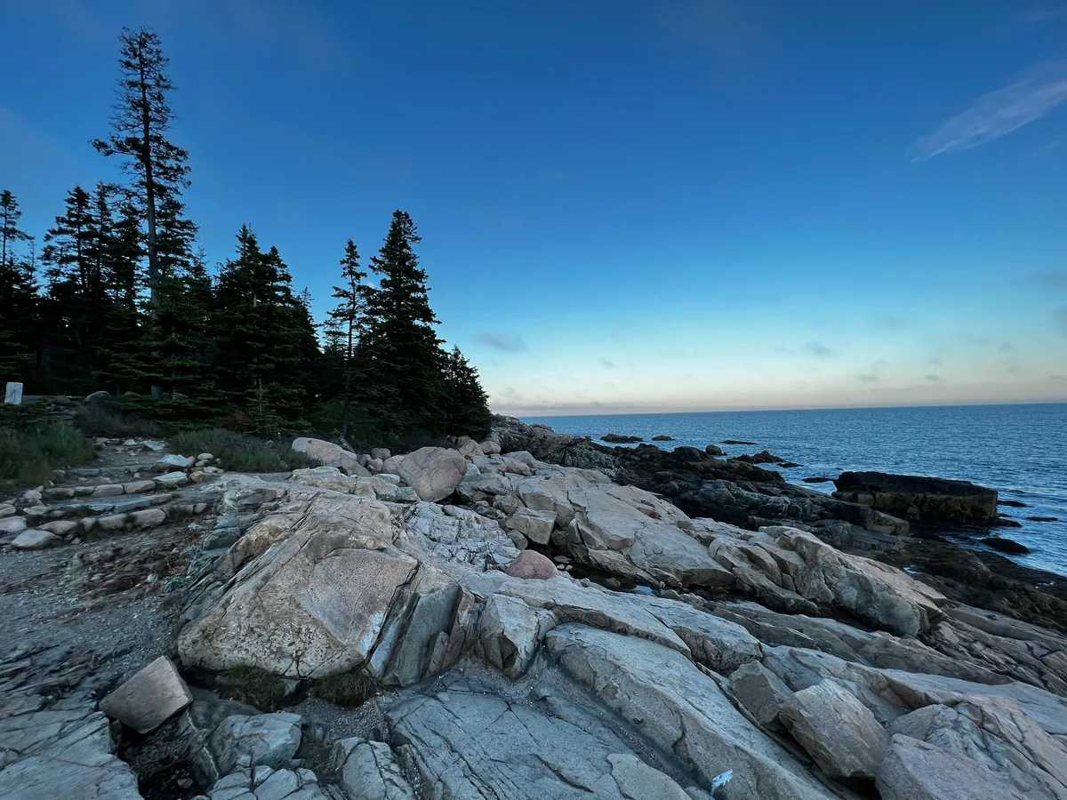 Rocky Atlantic shoreline and evergreen trees along the Acadia National Park coast during twilight